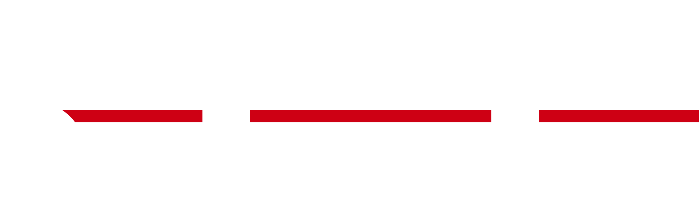 Footer Logo
