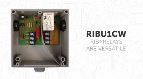 RIBU1CW RIB Relays Are Versatile
